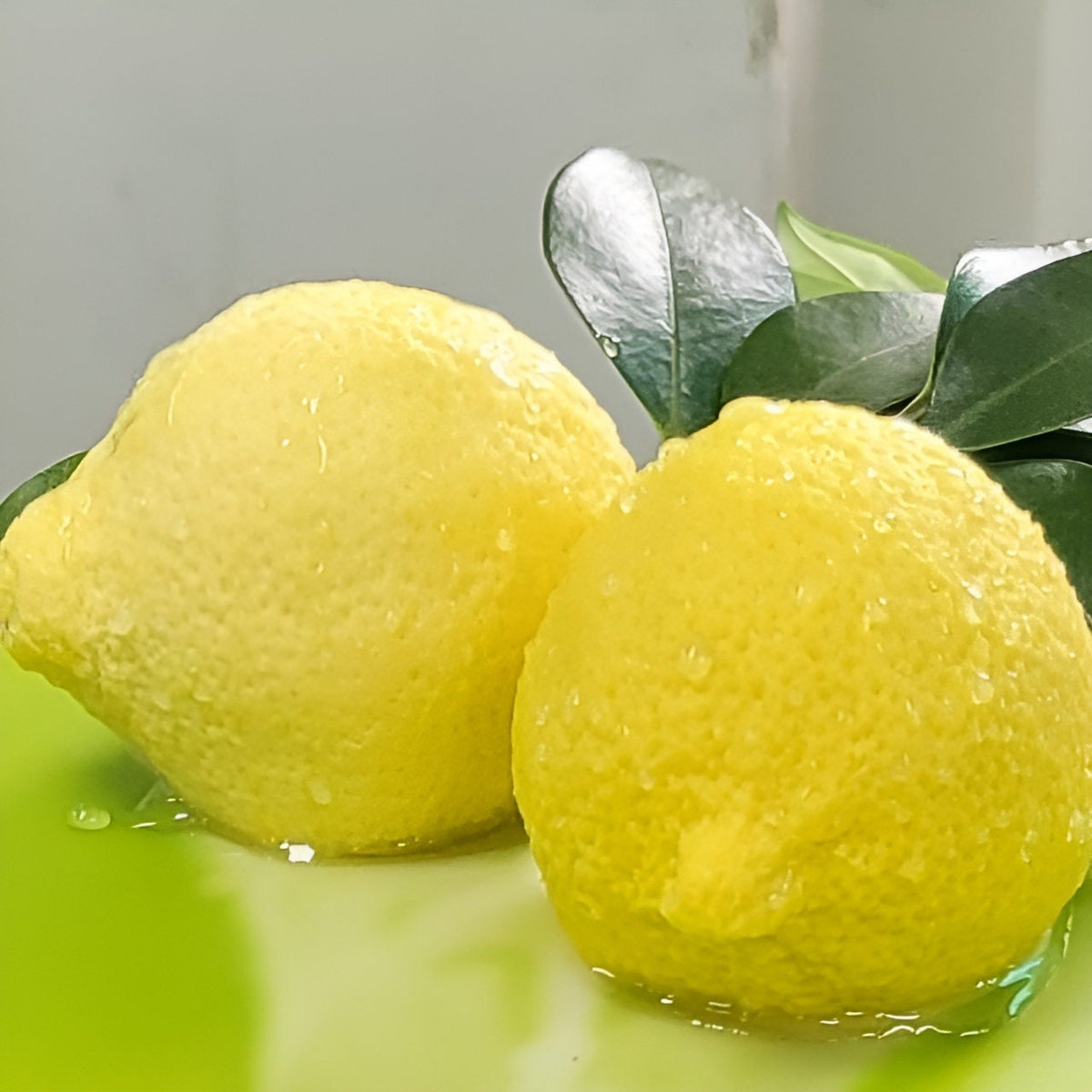 Realistic Lemon & Lime Slice Faux Food Prop - Kitchen Decor, Photography Styling