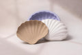 Vintage Frill Clam Shell Mother Mold, Pottery Ceramics, Plaster Mold Making