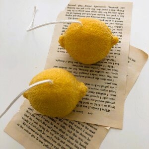 Realistic Lemon & Lime Slice Faux Food Prop - Kitchen Decor, Photography Styling